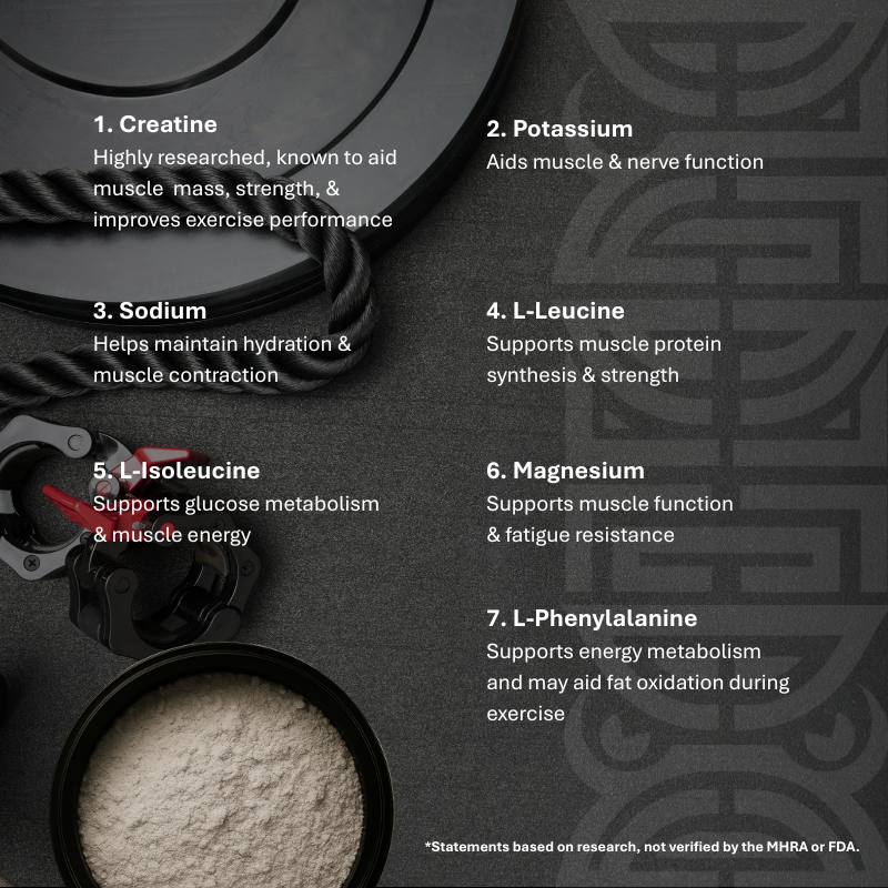 EVO AXN ENERGY+POWER