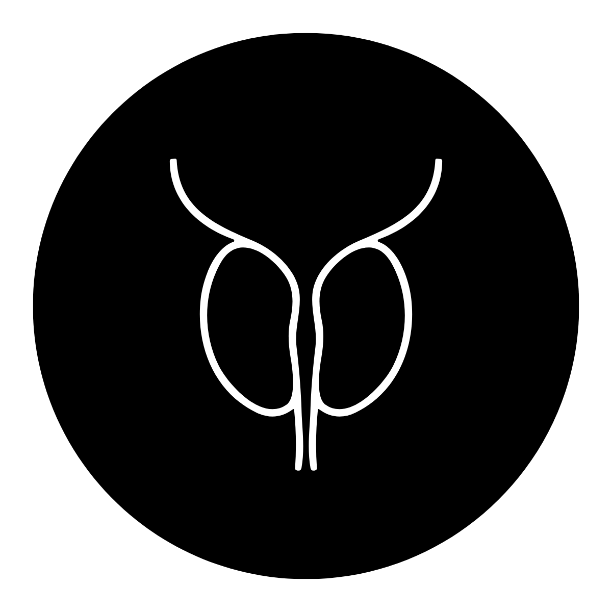 Prostate support