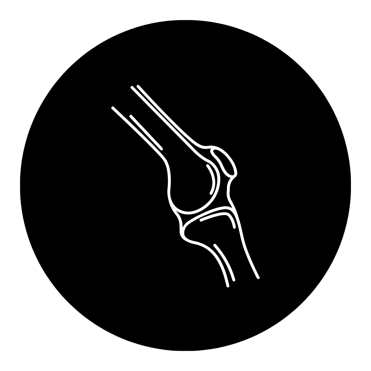 Joint Support